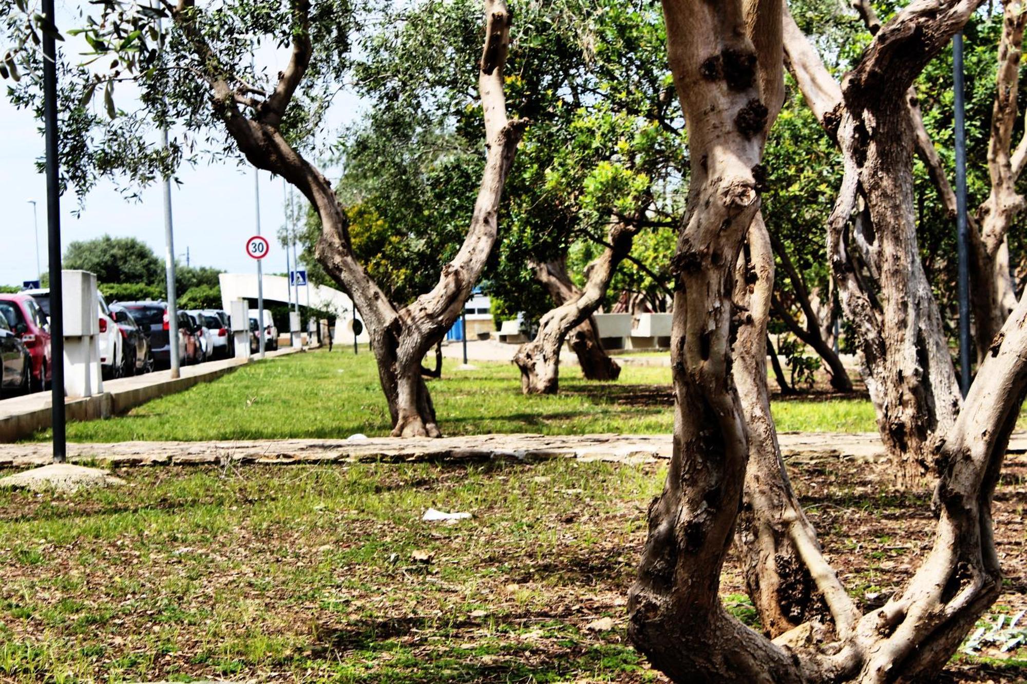 Fara 8 Apartment Bari Luaran gambar